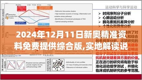 2025精准资料免费提供,全面释义、解释落实